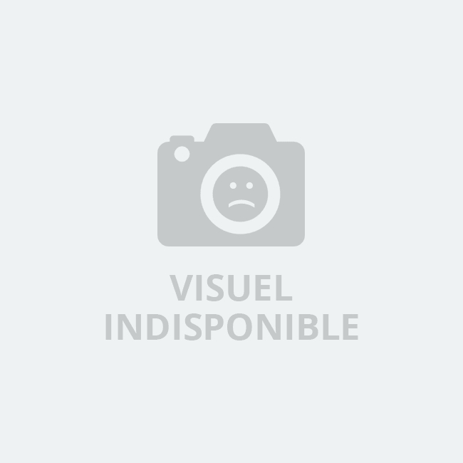 Zooparc de Trégomeur - Tapir Malais