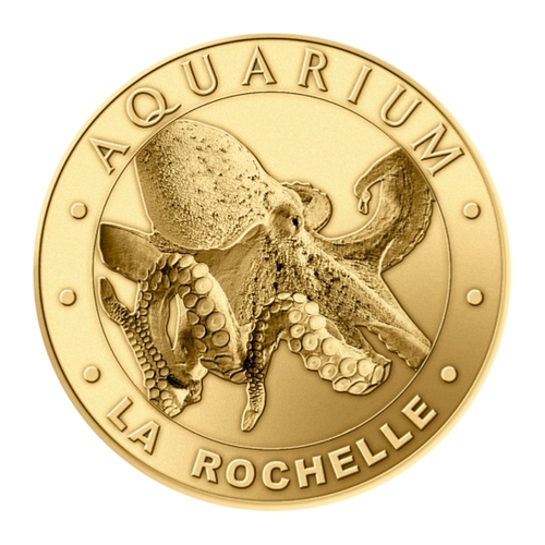 Aquarium de la Rochelle - Le poulpe
