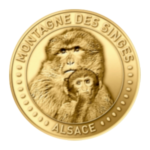La Montagne des Singes - Alsace - Deux singes