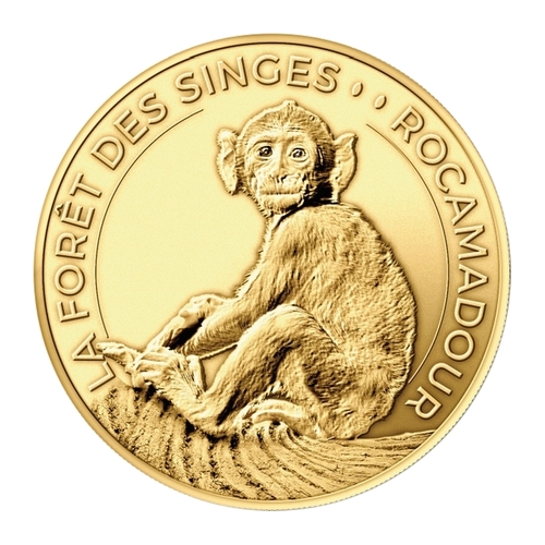 Rocamadour - La Forêt des Singes - Jeune Macaque