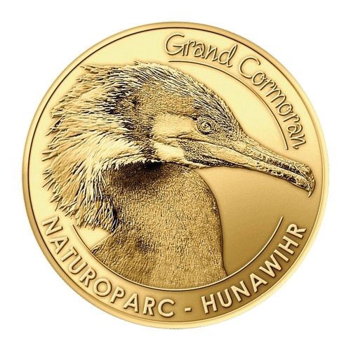 Hunawihr - Naturoparc - Grand Cormoran