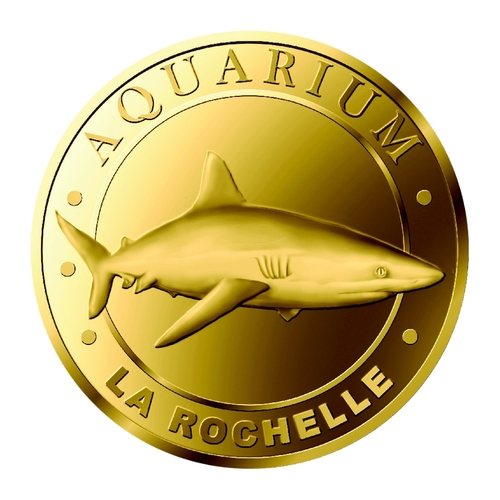 Aquarium de la Rochelle - Le Requin gris de récif
