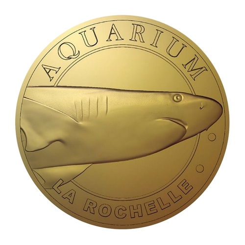 Aquarium de la Rochelle - Le requin Pointe Noir - Deux points