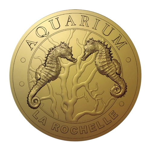 Aquarium de La Rochelle - Deux Hippocampes