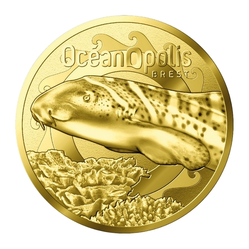 Brest - Océanopolis - Requin Zèbre