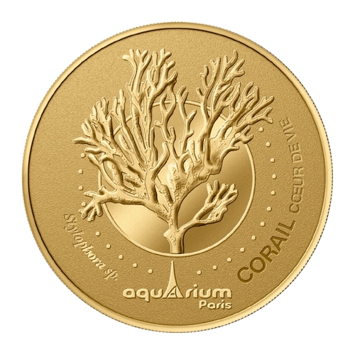 Aquarium Paris - Corail