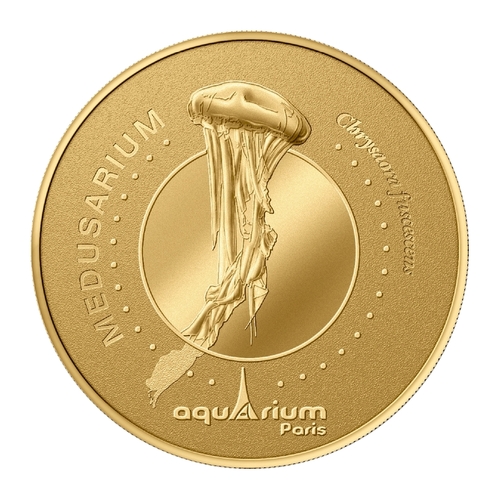 Aquarium Paris - Medusarium