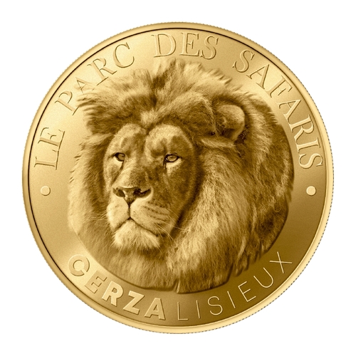 Lisieux - Cerza le parc des safaris - Lion