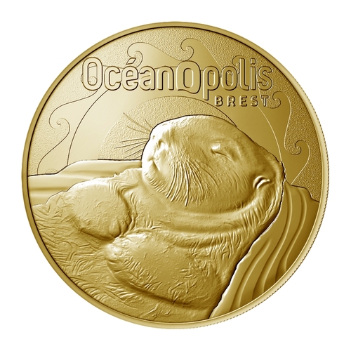 Brest - Océanopolis - Loutre de Mer sur le dos