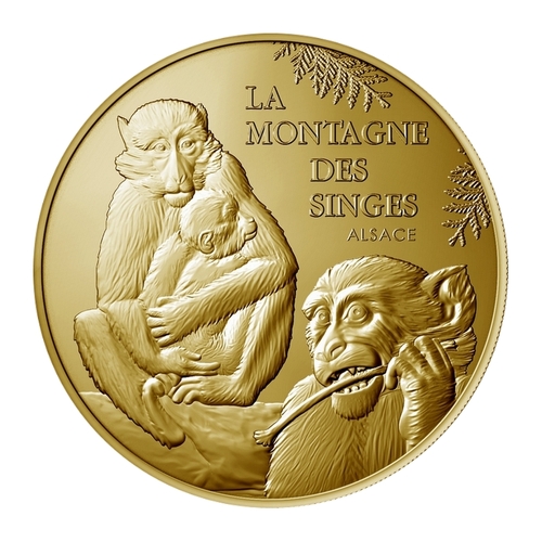 La Montagne des Singes - Alsace - Singe Grignotant une Branche