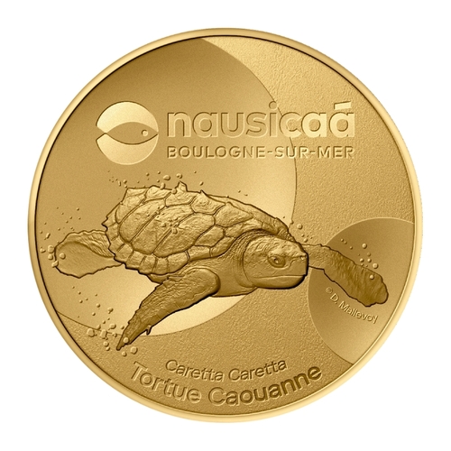 Boulogne-sur-Mer - Nausicaá - Caretta Caretta - Tortue Caouanne