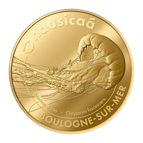 Boulogne-sur-Mer - Nausicaá - Chrysaora Fuscescens - Méduse Dorée