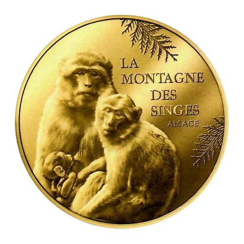 La Montagne des Singes - Alsace - Duo et Bébé