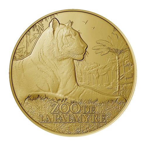Zoo de La Palmyre - Tigre