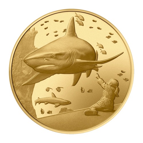 Aquarium de la Rochelle - Le Requin et L'Enfant