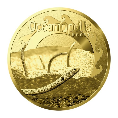 Brest - Océanopolis - Anguilles