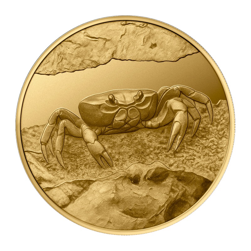 Aquarium de la Rochelle - Le Crabe