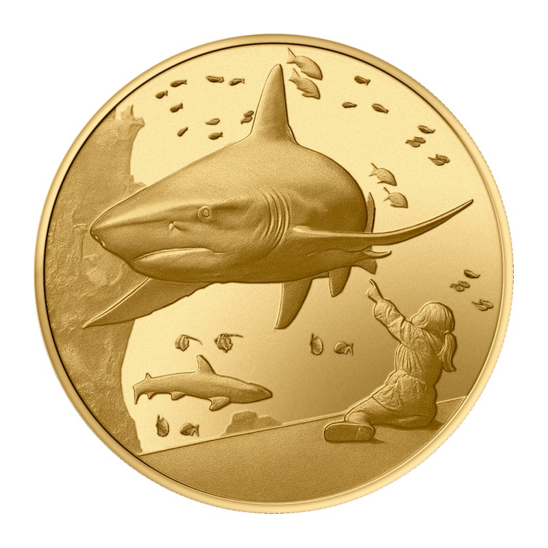 Aquarium de la Rochelle - Le Requin et L'Enfant