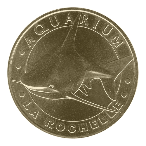 Aquarium de La Rochelle - Le requin gris