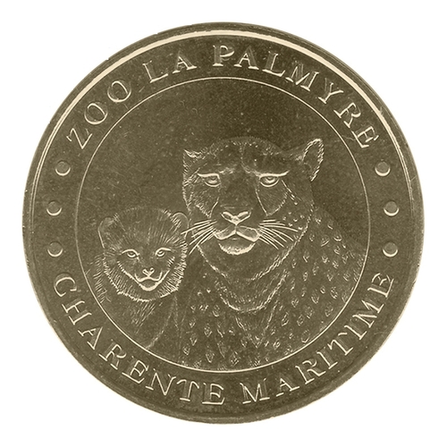 Zoo la Palmyre - Les guépards