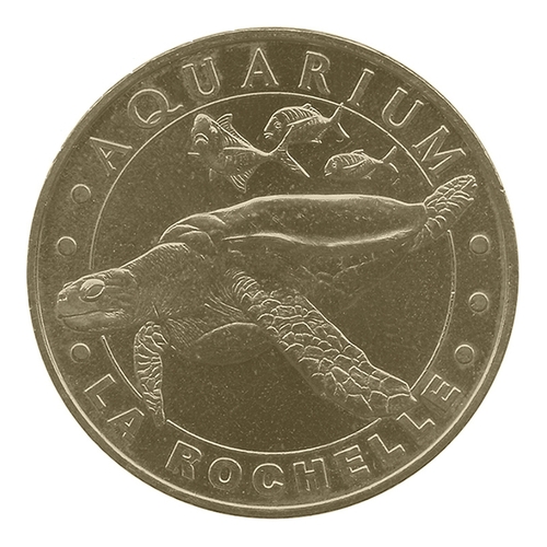 Aquarium de La Rochelle - La tortue imbriquée