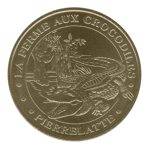 La ferme aux Crocodiles - Crocodile du Nil - Face cerclée