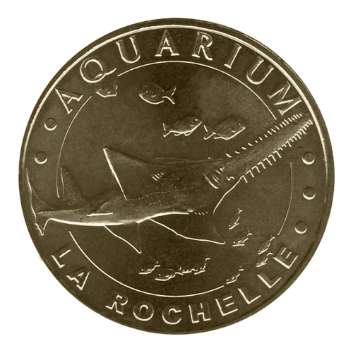 Aquarium de La Rochelle - Le poisson-scie