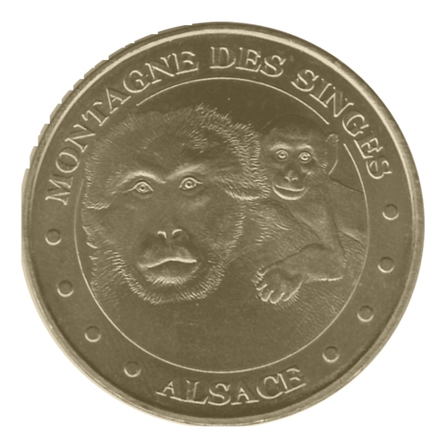 Montagne des Singes - La mère et son petit