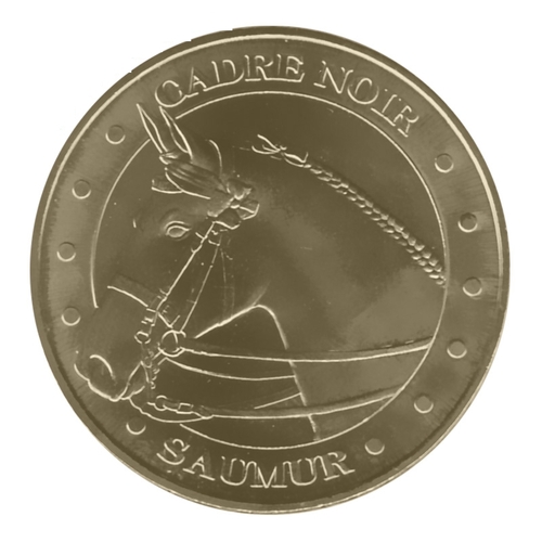 Saumur - Cadre Noir - Tête de cheval