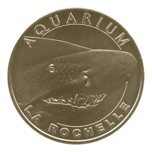 Aquarium de La Rochelle - Le requin-taureau