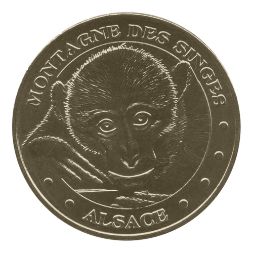 Montagne des Singes - Le bébé singe