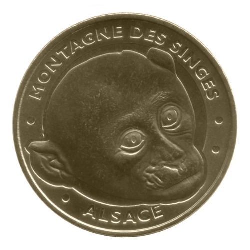 Montagne des Singes - La tête de Singe