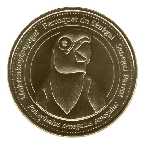 Perroquet Club - Perroquet du Sénégal