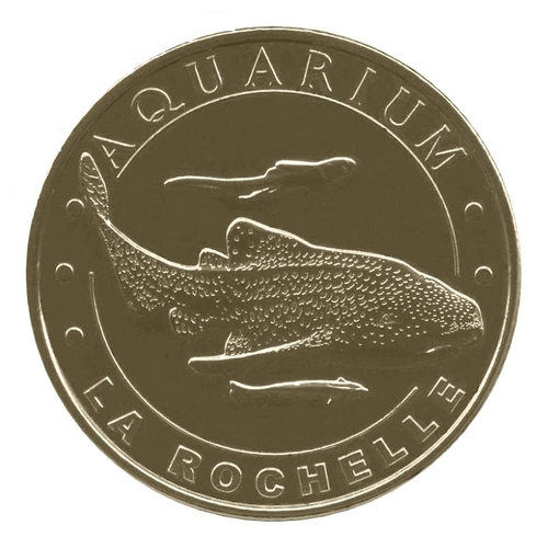 Aquarium de La Rochelle - Le requin zèbre