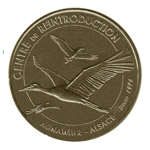 Hunawihr - Centre de réintroduction - Les cigognes en vol