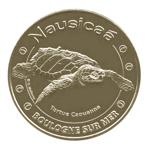 Boulogne-sur-Mer - Nausicaá - Tortue Caouanne