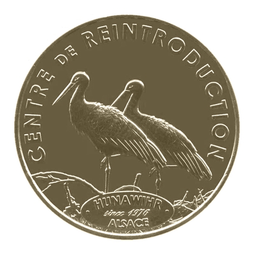 Hunawihr - Centre de réintroduction - Le couple de cigognes