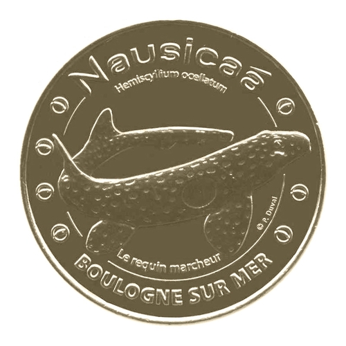 Boulogne-sur-Mer - Nausicaá - Le requin marcheur