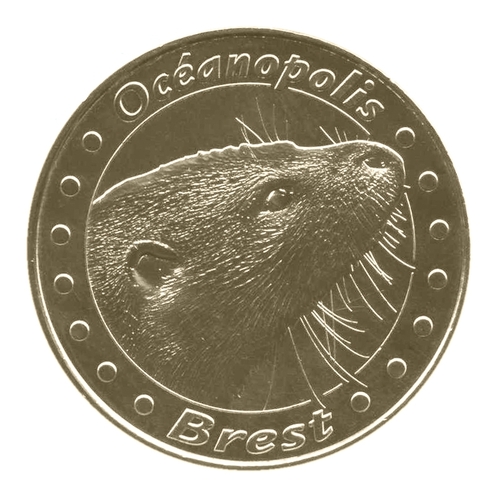 Brest - Océanopolis - Loutre d'Europe