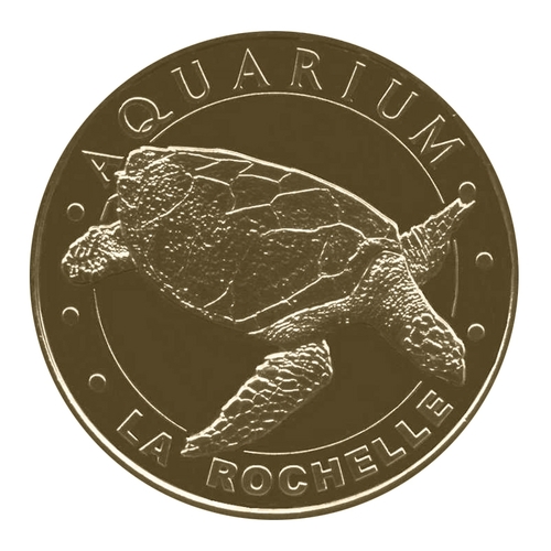 Aquarium de la Rochelle - la tortue (tournée vers la droite)