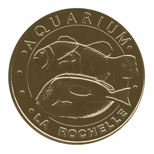 Aquarium de la Rochelle -  les poissons clown et chirurgien