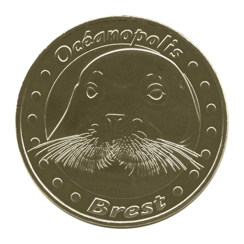 Brest - Océanopolis - Phoque à moustaches