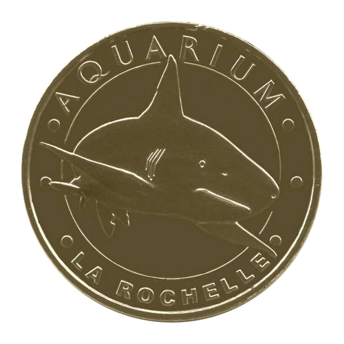 Aquarium de La Rochelle - Le requin à pointes noires