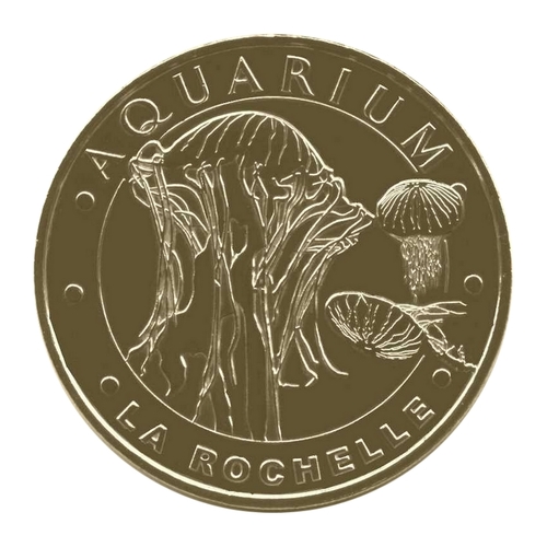Aquarium de La Rochelle - Les Méduses striées