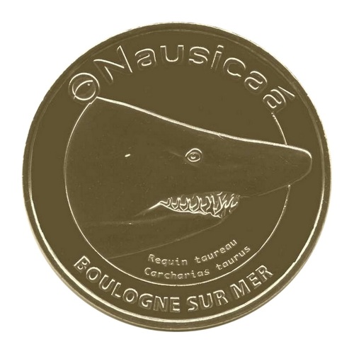 Boulogne-sur-Mer - Nausicaá - Le requin taureau