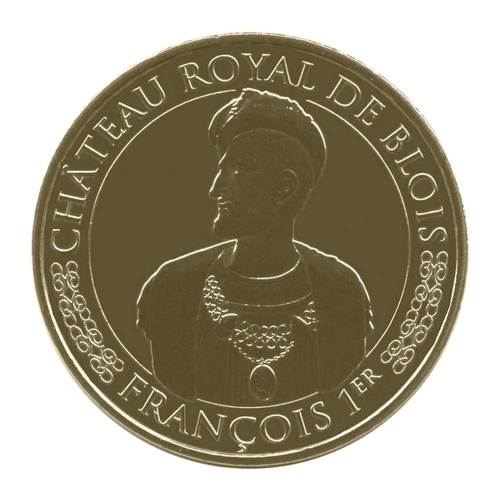 Château royal de Blois - François 1er