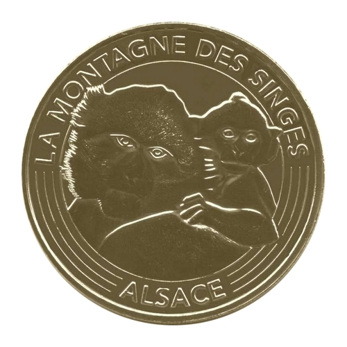 La Montagne des Singes - Alsace - La mère et son petit