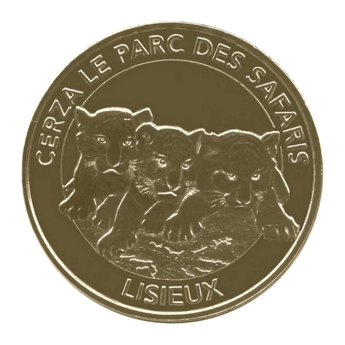 Lisieux - Cerza le parc des safaris - Bébés tigres blancs