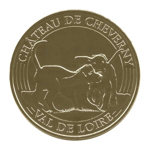 Château de Cheverny - Les chiots