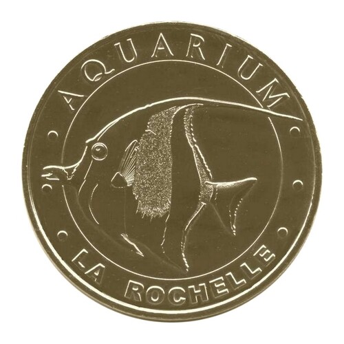 Aquarium de la Rochelle - Zanclus cornutus